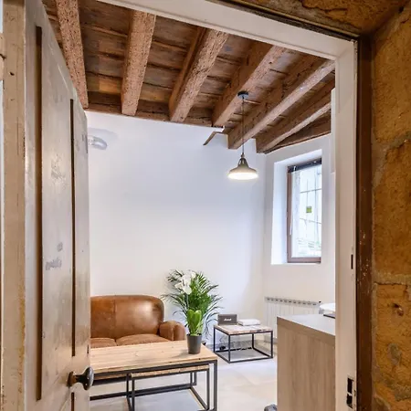 Le Cocon Du Vieux Ail Lyon