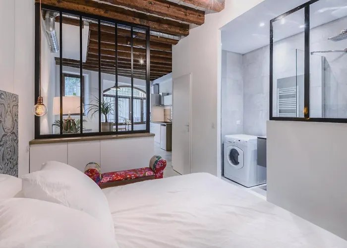 Le Cocon Du Vieux Ail Appartement Lyon