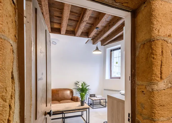 Le Cocon Du Vieux Ail Lyon